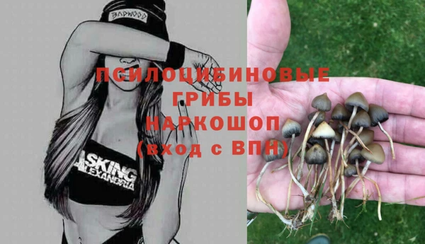 apvp Лихославль